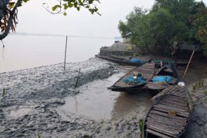 সুন্দরবন