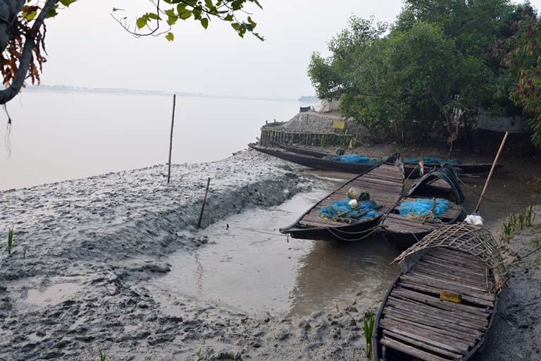 সুন্দরবন